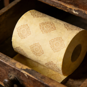 抽纸(爱人的能力是需要勇气)