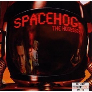 A Real Waste of Food