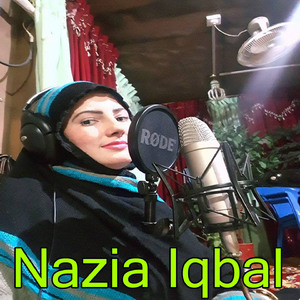 Waziristan Pa Ghoro No Walika Sherona