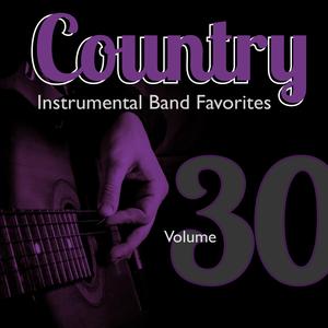 Why Don't You Spend the Night (Instrumental Version)