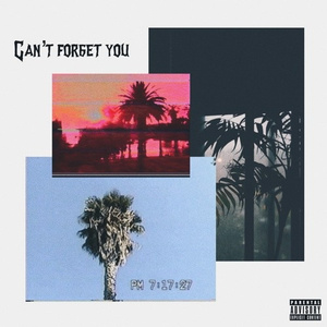Can't Forget You (Prod. BeatsByTre)