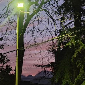 搁置（prodbyeddy）