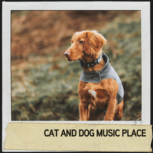 Calm Dog Mindfulness