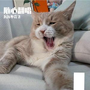 我喜欢上你时的内心活动-瓦瓦