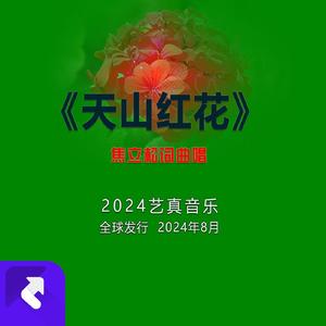 天山的红花 (现场)