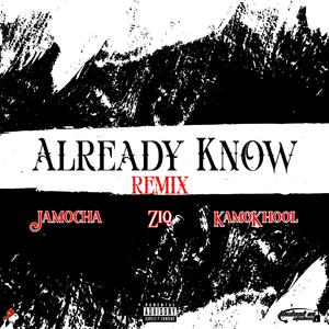 Already Know (feat. Jamocha & KamoKhool) (Remix)