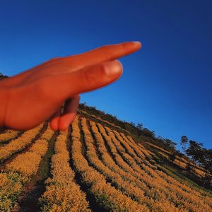 大海（清唱版）