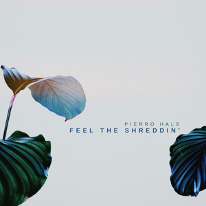 Feel The Shreddin'