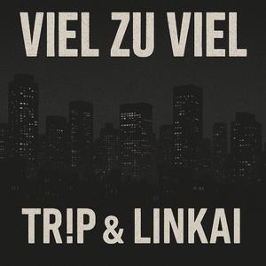 Viel zu Viel (feat. Linkai)