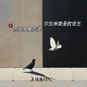 你生来就是救世主而我是食死徒