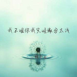 我不恨你我只怪缘分太浅