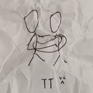 TT