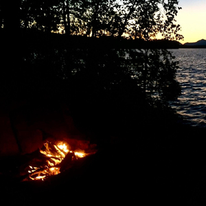 I Came up Singing... with the Birds...