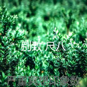 一尘不染松弛印象数