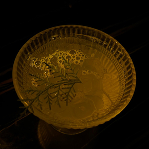 爱你的人不会给别人留位置