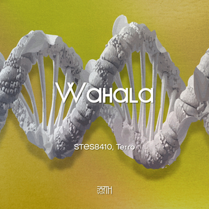 Wahala (Original Mix)