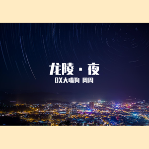 龙陵·夜