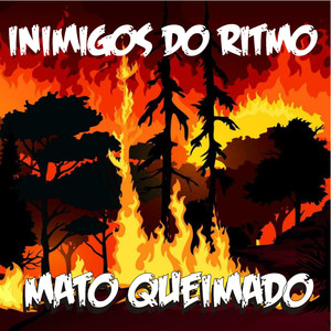 Mato queimado