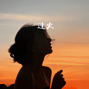 过火(怎么忍心怪你犯了错)