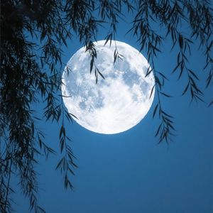 碧水清波影如镜