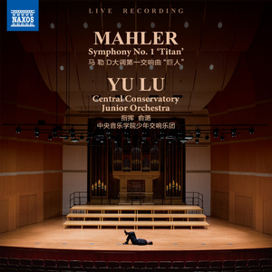 Mahler: Symphony No. 1 in D Major, "Titan" : IV.Sturmisch bewegt