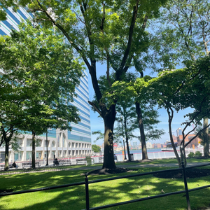 3/17 (feat. missari.)