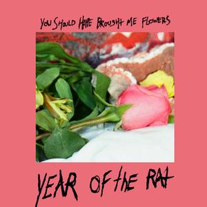 Year of the Rat