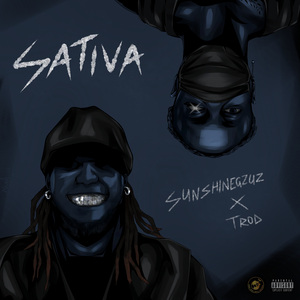 Sativa