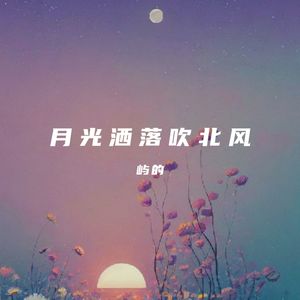 月光洒落吹北风