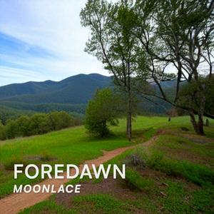 Foredawn