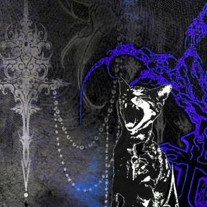 Stone (Homenagem ao VINI DA ZO)