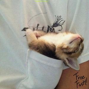 【FREE】Lucky（Prod.FreeFish）