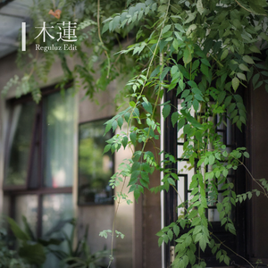 木莲(Reguluz Edit)