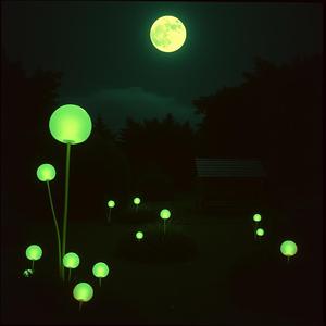 Sanki Yeni Keşfetmişim