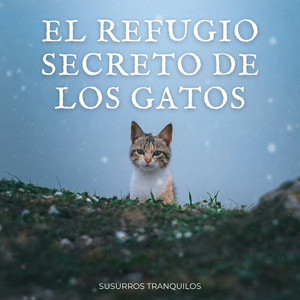 Oasis Tranquilo De Patas Y Susurros