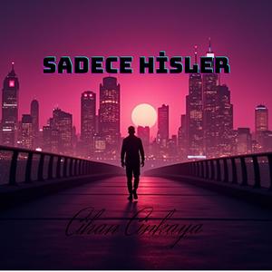 Sadece Hisler