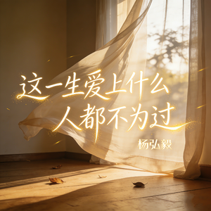 这一生爱上什么人都不为过