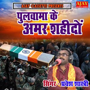 Pulwama Ke Amar Sahido