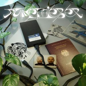 Umfeld (feat. killdummies & 53Anbu)