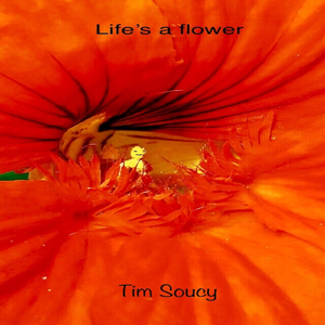 Soul Desires the Liberator