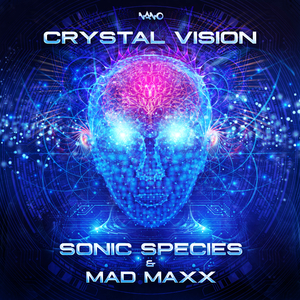 Crystal Vision (Original Mix)