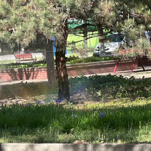 Erolon - Improvisation in Eb major