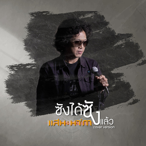 ซังได้ซังแล้ว (Cover)