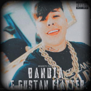 Bandia Le Gustan Flayter