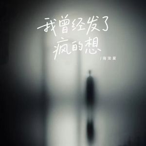 我曾经发了疯的想