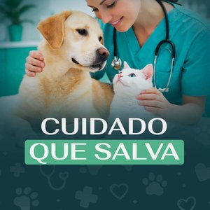 Cuidado que Salva