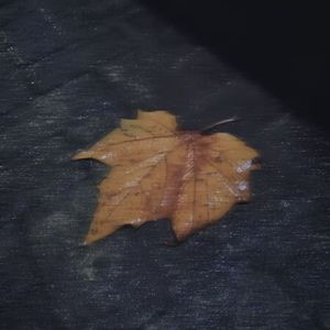 骗自己 Prod.Gr33nart Beats