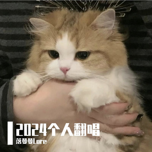 月夕花晨（cover：赵路）