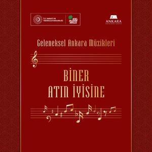 Biner Atın İyisine