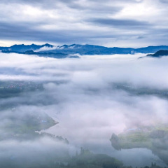 春枝绿叶-班得瑞